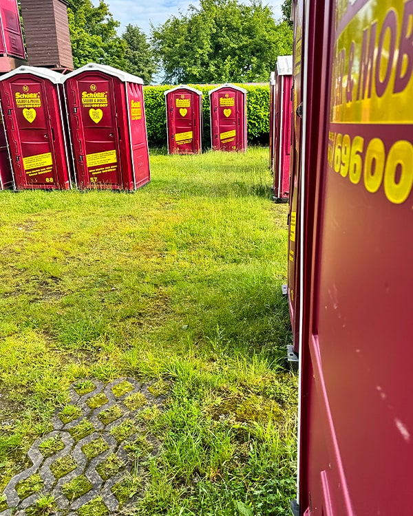 Mehrere Schüßli's auf einem Blick